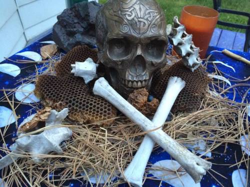 10384043_713014155421999_1434825921183483380_n