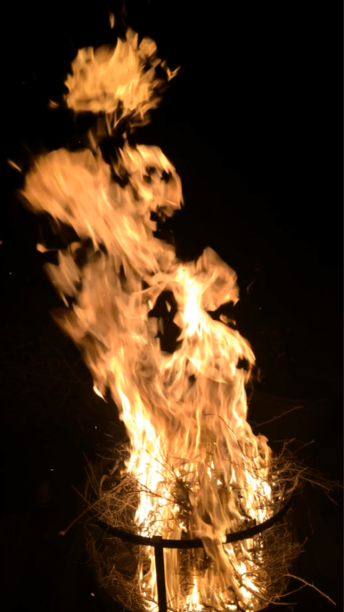 10603370_756223944434353_8900324043812773389_n