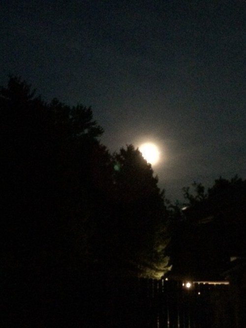 2014-08-09 21.24.18 - Copy