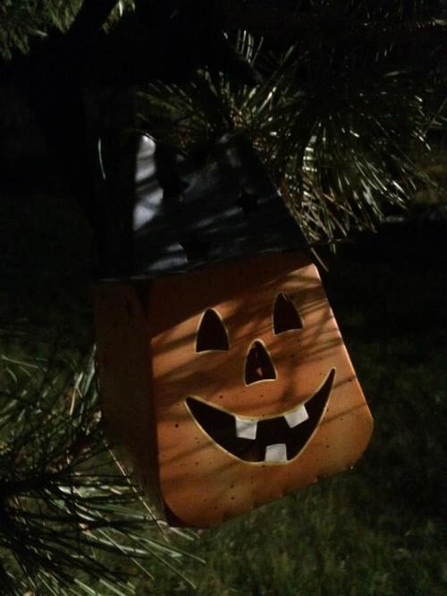 10424387_793646070692140_2519118333561911954_n