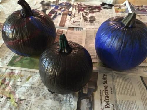 1508201_793645914025489_1759710078331402755_n