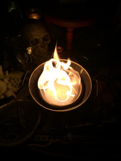 2014-11-22 21.38.02 (1)