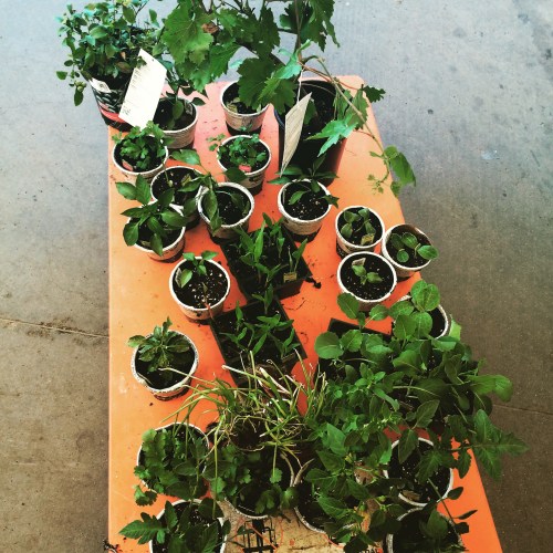 2015-05-28 20.25.47-2