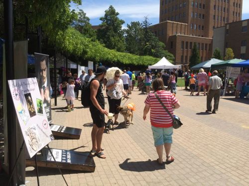 11846798_928338290556250_2343335793375597804_n