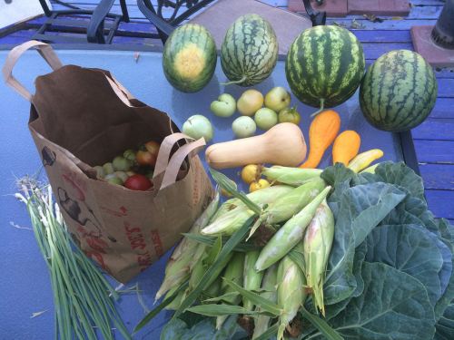 11952908_952111298178949_2110348789612343598_o