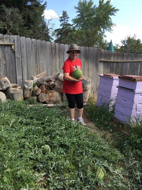 12002273_952123381511074_5640147925563928907_n