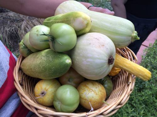 12010598_952115538178525_6504571242776515360_o