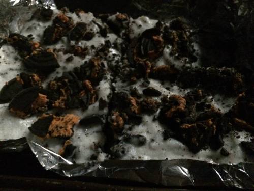 12010788_954756134581132_5331332493598345172_o