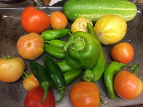 12032735_952119371511475_6720699083058645803_o