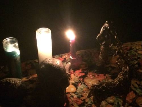 12038757_954754504581295_2941224609842290120_o