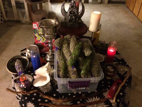 11225471_962155253841220_5813259467589463714_o