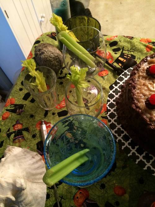 12186296_968117946578284_3246569688365805145_o