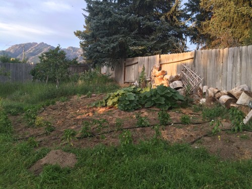 2016-07-02 20.33.39 HDR