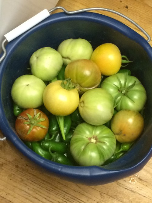 2016-08-21-17-32-31-copy