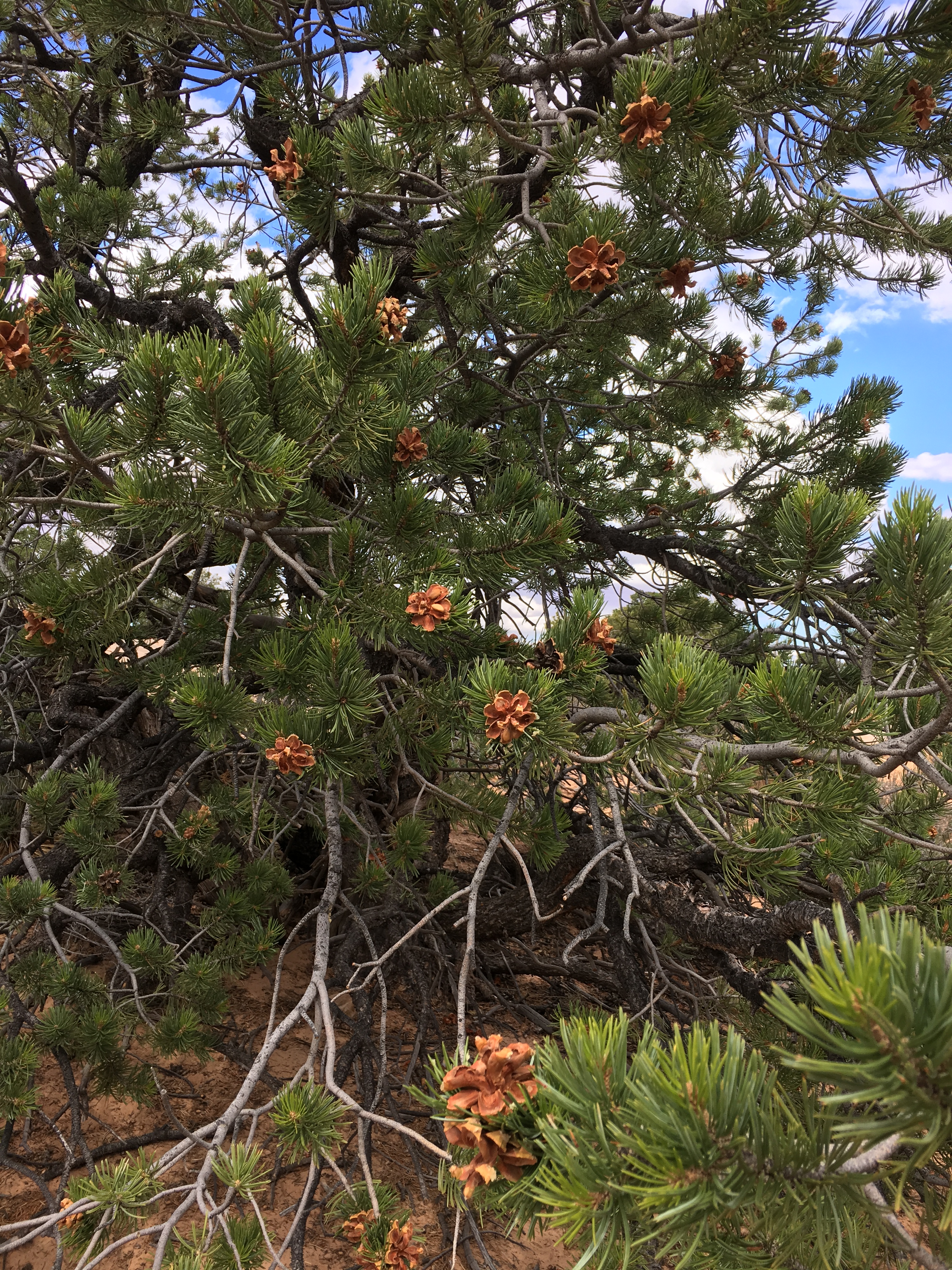 2016-10-02-12-39-15-hdr