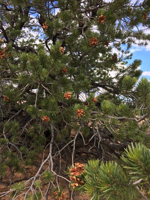 2016-10-02-12-39-15-hdr