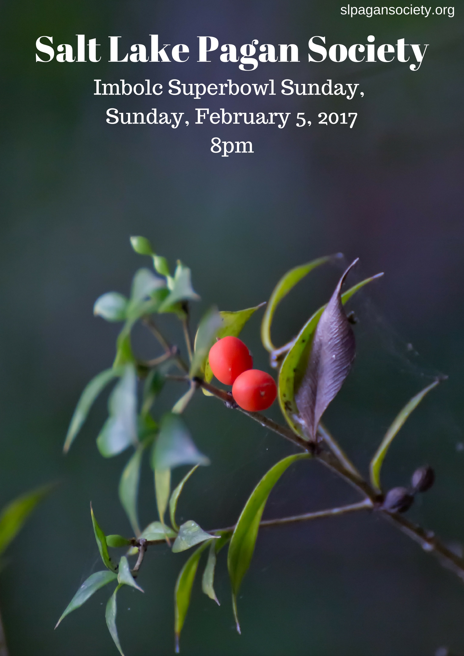 SLPS Imbolc 2017.jpg