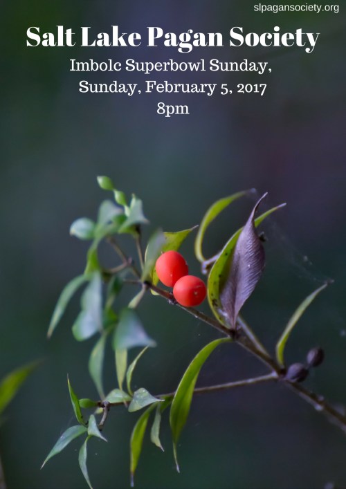 SLPS Imbolc 2017.jpg