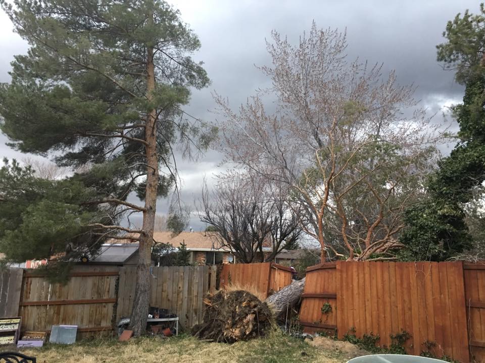 16996385_1343406495716092_6306218361685927117_n