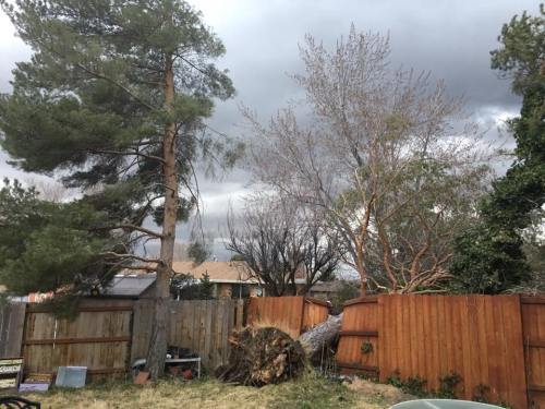 16996385_1343406495716092_6306218361685927117_n