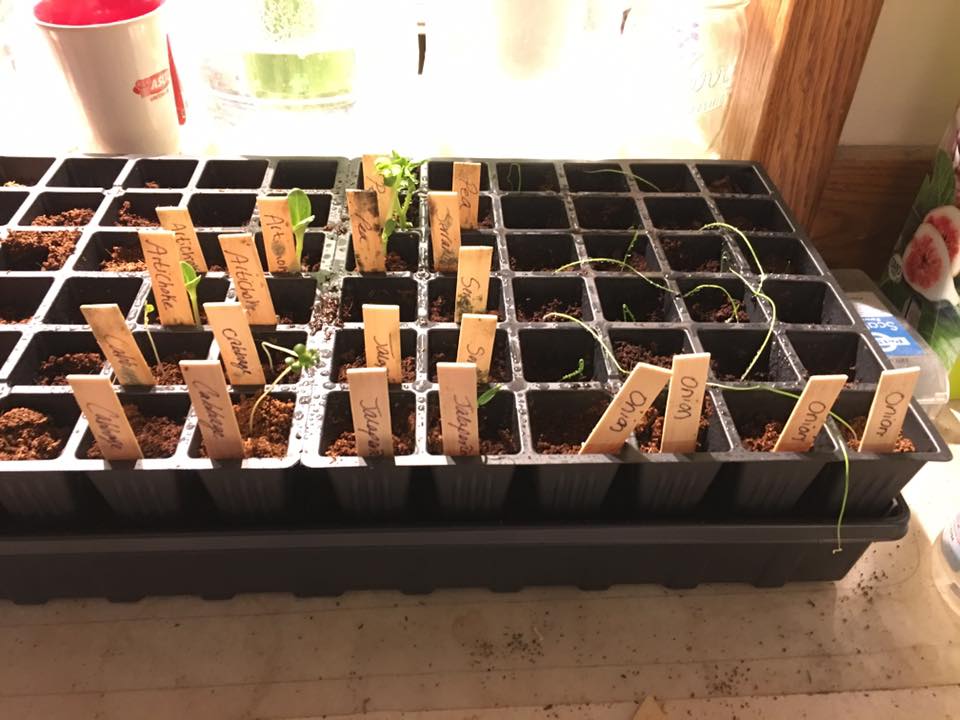 17098312_10155017062481704_7004091837925303996_n