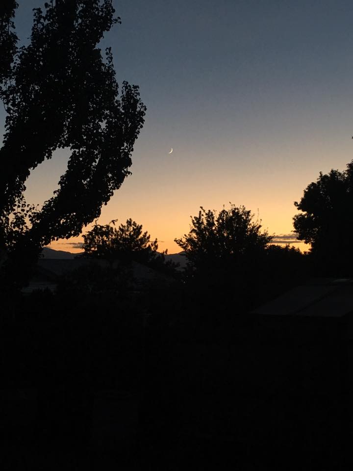 37115437_10156432028826704_4085072854129836032_n