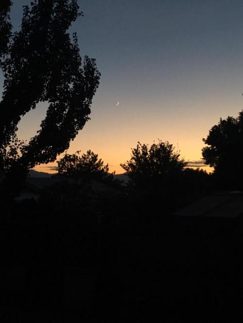 37115437_10156432028826704_4085072854129836032_n